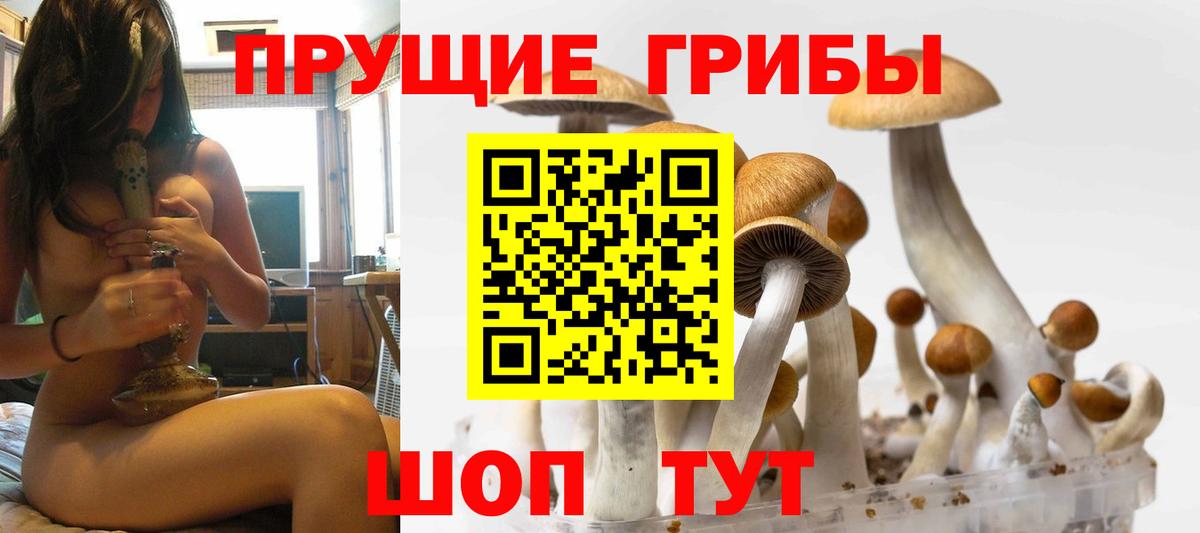 Нижнекамск  Галлюциногенные грибы Psilocybine cubensis  Псилоцибиновые грибы Magic Shrooms  Вход с VPN 
